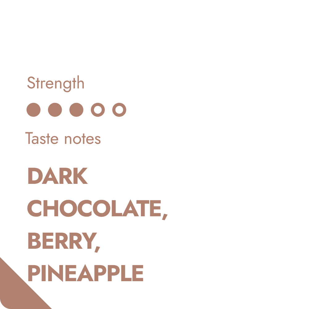 TANZANIA COFFEE BEANS